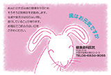 A-04::ウサギ